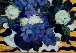 Hydrangea